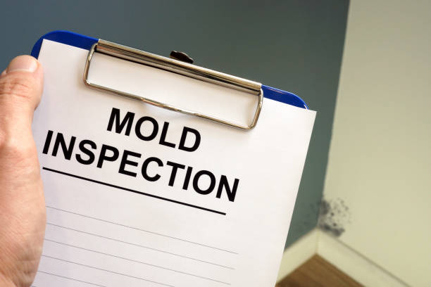 Best Mold Odor Removal Services  in Byron, GA